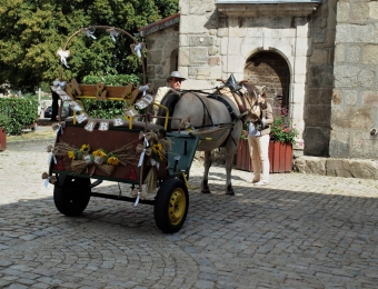 2-ceremonie-032